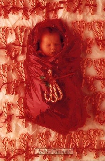 anne geddes noel